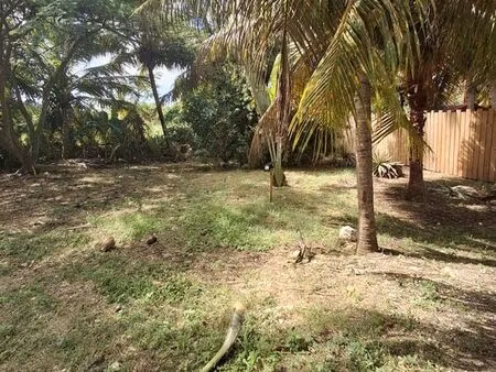 terrain 803 m2 saint françois 173000