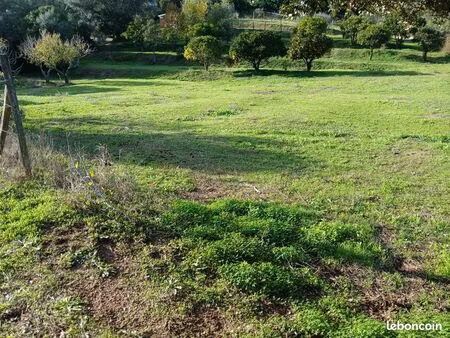 terrain constructible