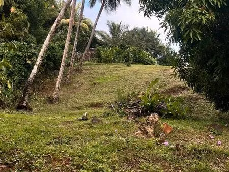 terrain à bâtir 1000m² trinité