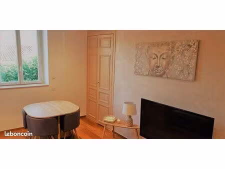 appartement t3 traversant 65 m2 rénové et rentable  spécial investisseur