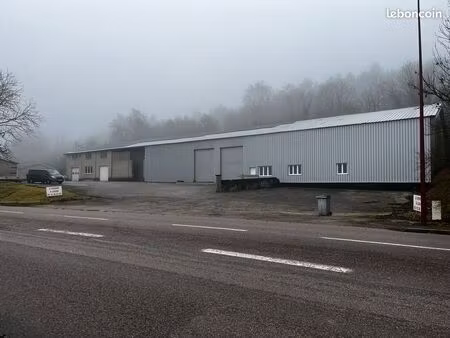 local d'activité 510 m2