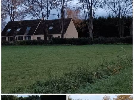 maison terrain piscine studio