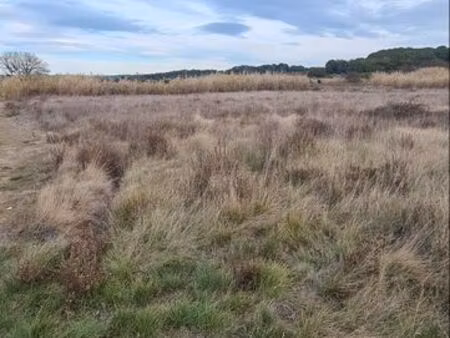 terrain agricole argeliers