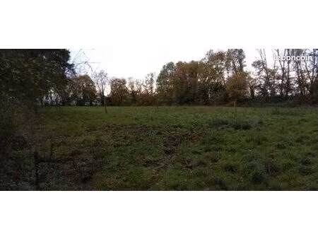 terrain pour jardin ou autres