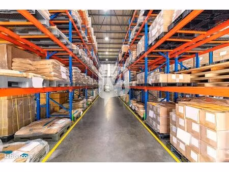 entrepôt 150 m² matoury