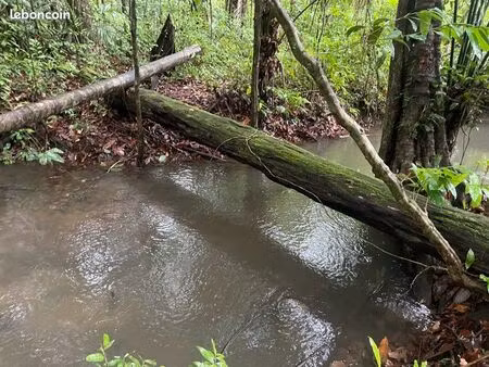 terrain à oiapoque (brésil)