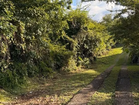 terrain constructible à vendre au gosier