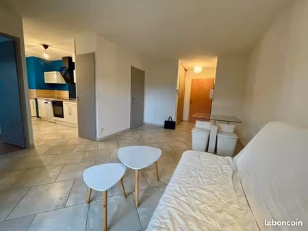 millau - appartement meublé t3 avec terrasse - 53 50 m²