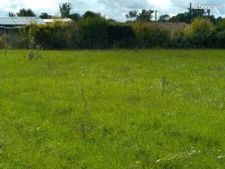 terrain constructible