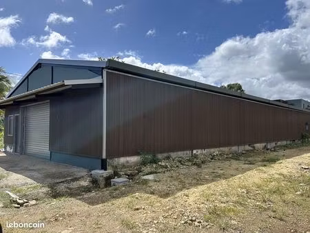 local 300 m² petit-bourg