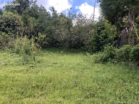 terrain 413 m² le tampon