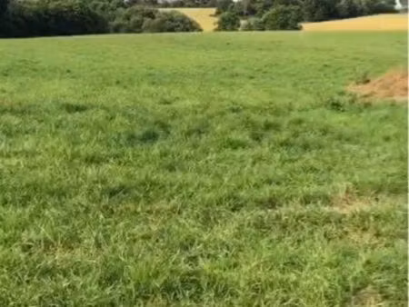 terrain constructible 800m2 - confort-meilars (finistère)