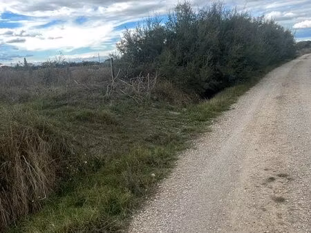 parcelle de terre agricole