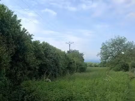terrain à bâtir
