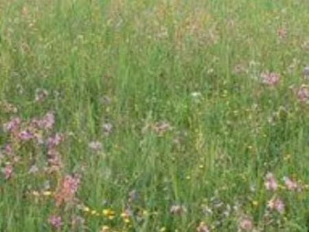 recherche terrain non constructible