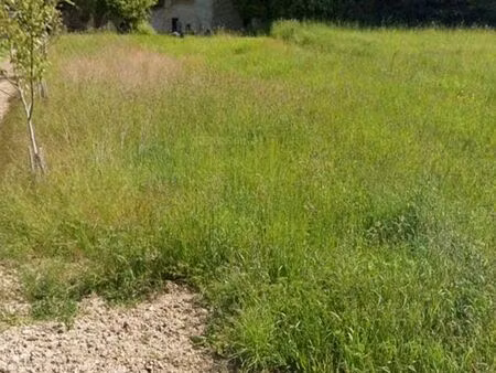 terrain constructible de 304 m² avec cave attenante de 50 m²