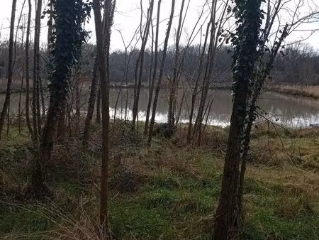 vend étang avec cabane