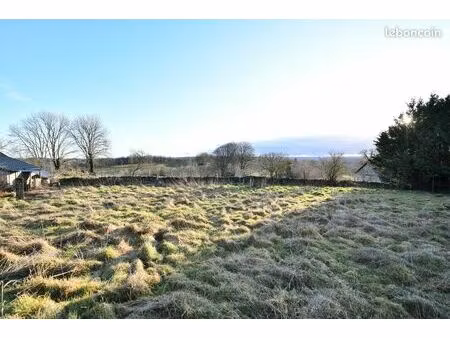 terrain 1977 m² pleaux