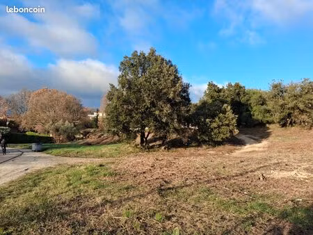 terrain constructible