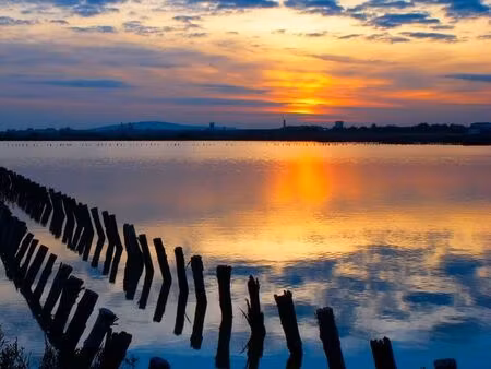location meublé frontignan plage