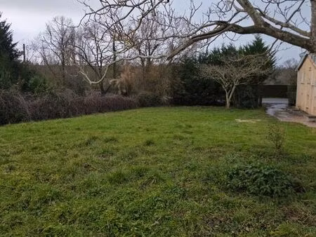 terrain constructible