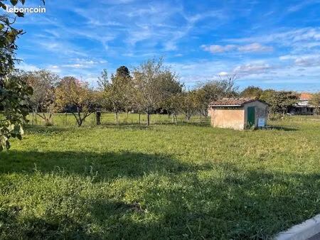 terrain 1 007 m² revel