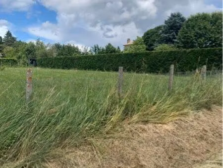 terrain constructible