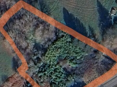 terrain constructible avec petit étang