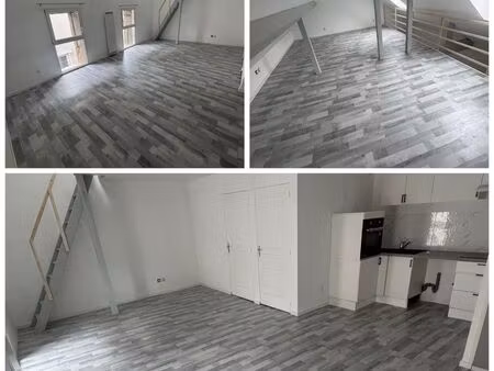 appartement de 46 m2 à trept