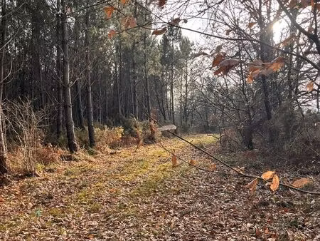 parcelles à vendre 18 hectares