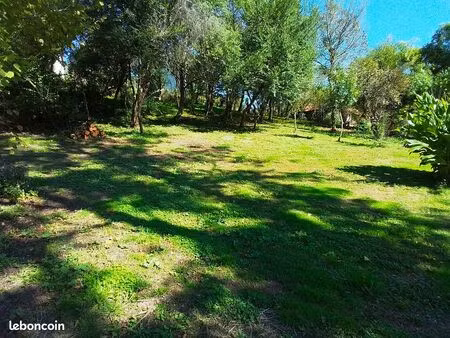 terrain constructible