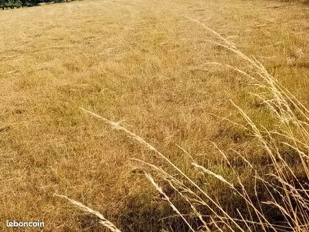 grand terrain 6340 m2 constructible