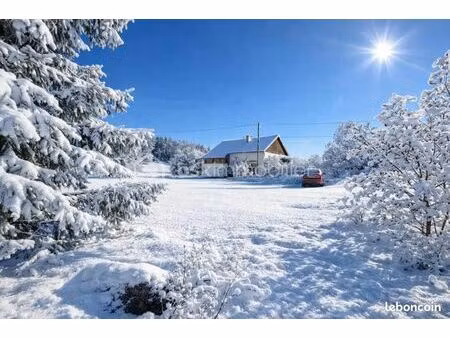 commerce bar les premiers sapins