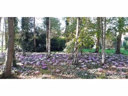 terrain 5727 m² cloyes-les-trois-rivières