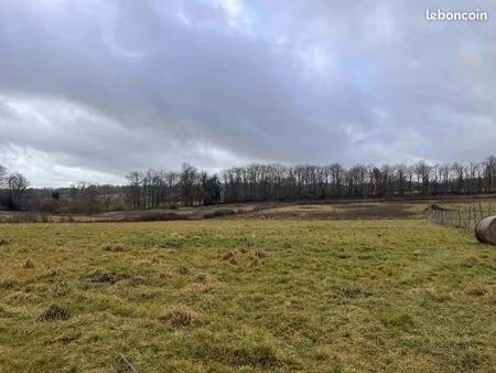 terrain 330000 m² lessac