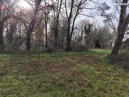 terrain 5678 m² le pizou