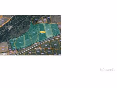 vends un ilot de vignes