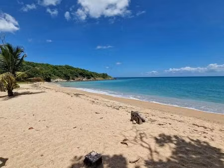 villa prestige antilles