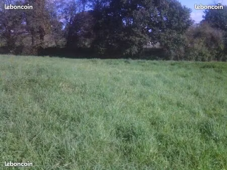 terrain a batir 2000 m2