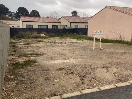 terrain constructible