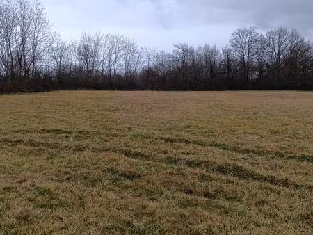 terrain 3365 m² tourtoirac