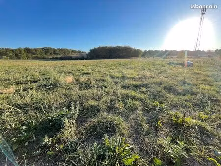 terrain de 2ha à vendre en bord de route