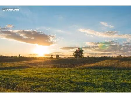 terrain 3500 m² targon