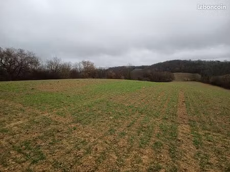 terre agricole  culture et forêt 8 6 hectares