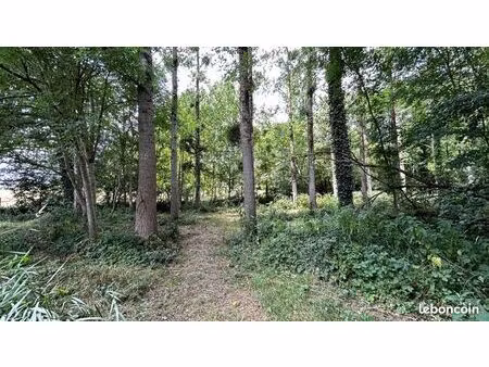 terrain de loisir en bord de rivière