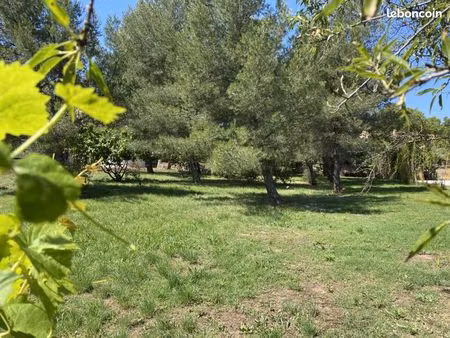 terrain 590 m² le pradet