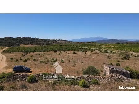 terrain agricole 10 255 m² tautavel