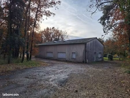 bureaux 200 m² gensac la pallue