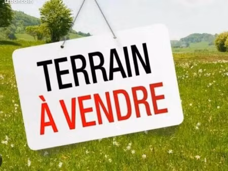 terrain constructible