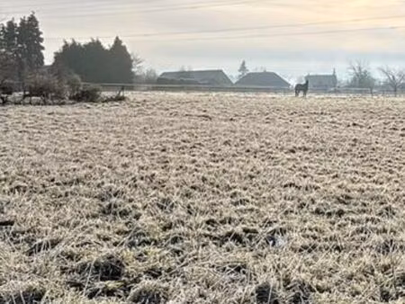 terrain a bâtir 696 m2